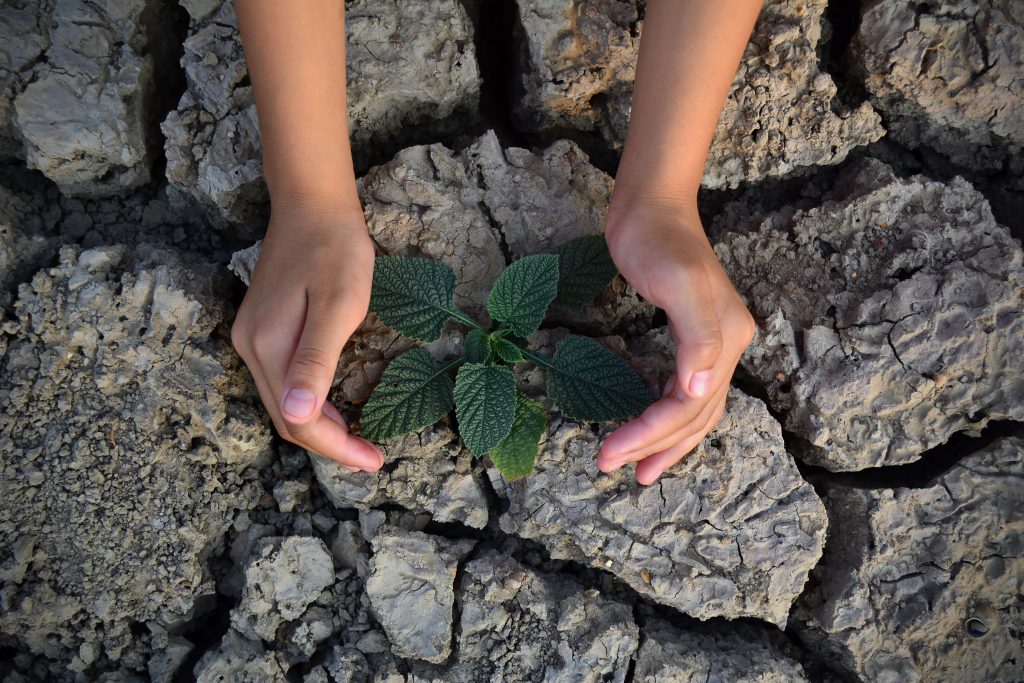 Climate change